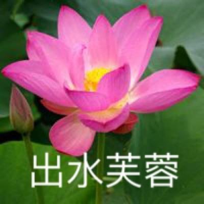 死灵归来游戏